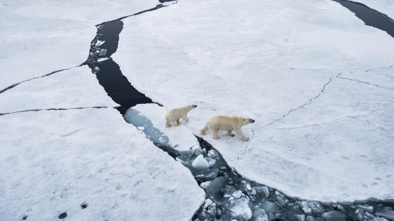 Ученый рассказал об одновременном резком потеплении в Арктике и Антарктике