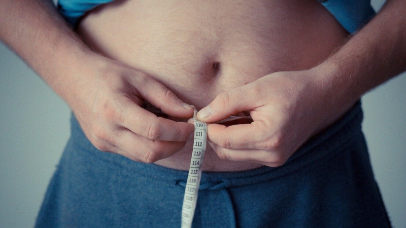 Время ожирения. Ученые уточнили психический механизм пищевой зависимости