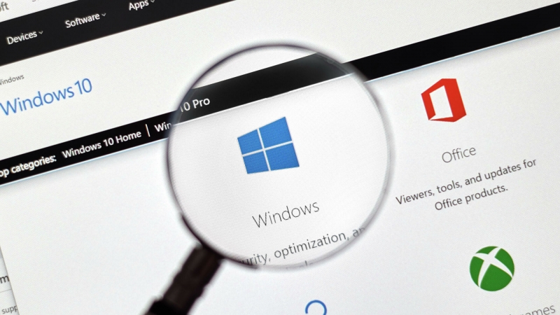 В Windows 11 замечены новые функции