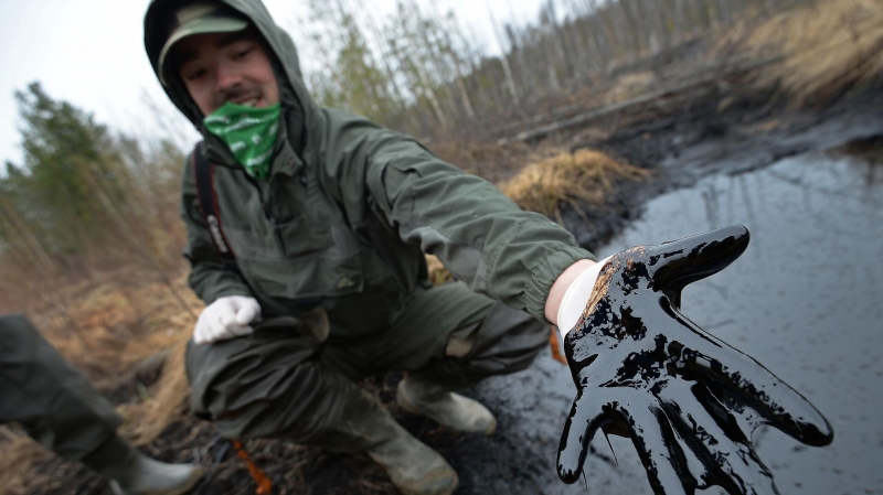 В России нашли способ снизить токсичность загрязненной нефтью почвы