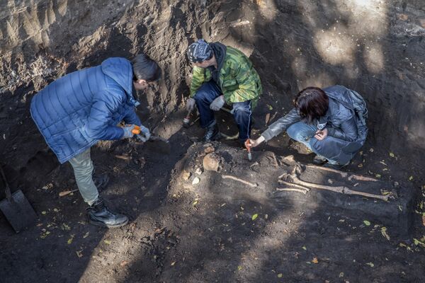Тайны орловской земли: что нашли археологи спустя тысячелетие