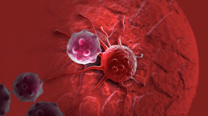 Ученые создали препарат против рака, не разрушающий здоровые клетки