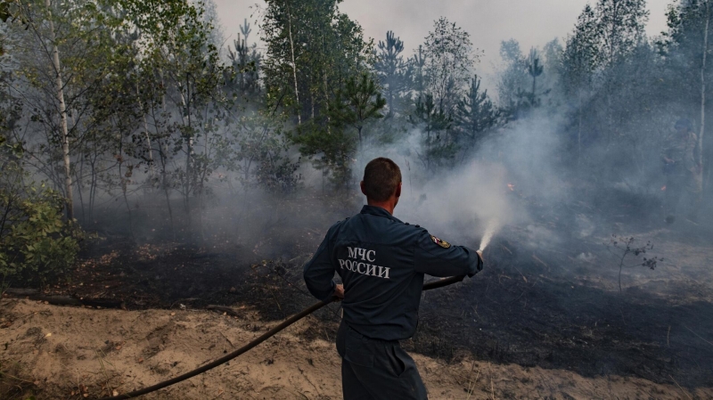 "Хватит стакана воды": ученые объяснили, как спасти лес от огня