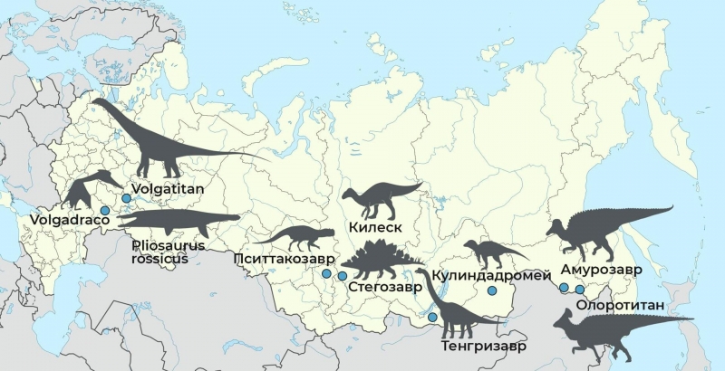 "Кости лежат как мостовая": какие динозавры "водятся" в России