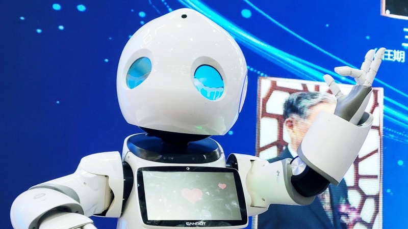 Путин поручил оказать содействие развитию платформы робототехники "Роббо"