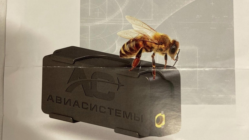 Радиопередатчик размером с пчелу сделает полеты дронов в России безопасными