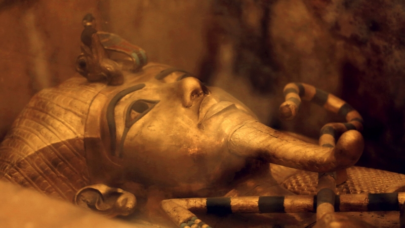 Обошлись без инопланетян. Пыльца раскрыла тайны египетских пирамид