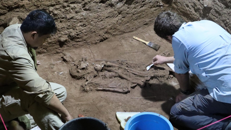 "Отрубили ногу". Находка археологов изменила взгляд на историю медицины