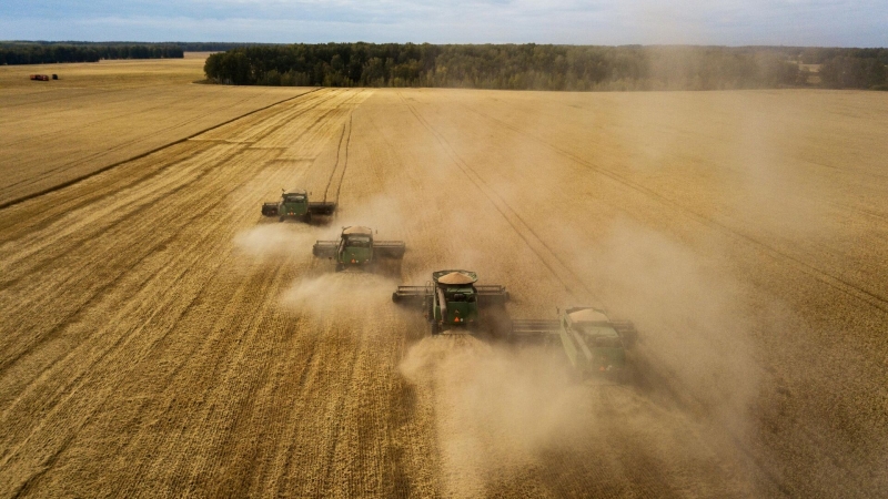 Зерновая сделка приобретает рискованный характер, заявили в Кремле