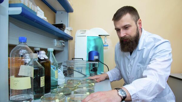 Российские ученые нашли в растении-паразите источник ценных веществ