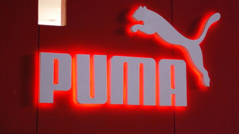 Компания Puma пытается отсудить домен puma.ru у "любителя животных"