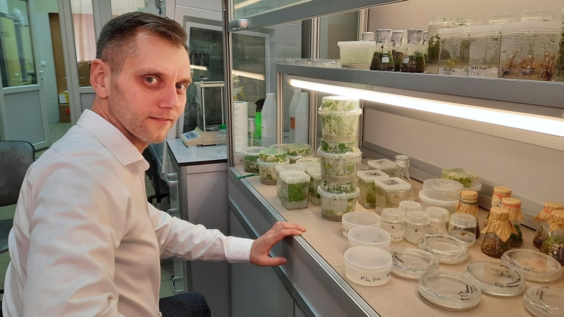 Микроводоросли станут "пищевыми заводами" благодаря ученым из России