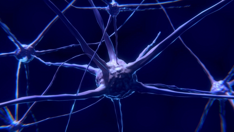 Ученые создали средство для восстановления нервных тканей