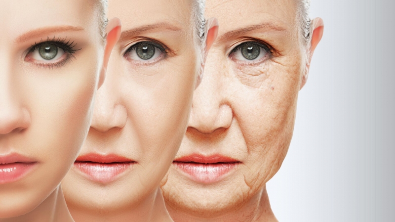 "Лекарство будет через три года": ученые раскрыли тайну старения