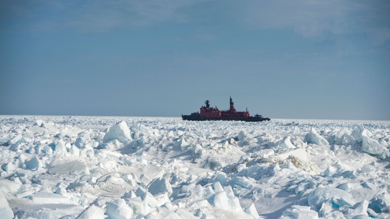 НАТО активизировало деятельность в Арктике, заявили на Северном флоте