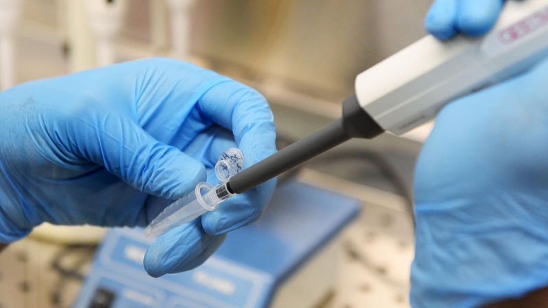 Петербургские ученые разрабатывают съедобную вакцину от гриппа