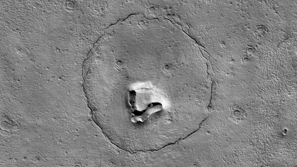 Спутник НАСА сфотографировал на Марсе "морду медведя"