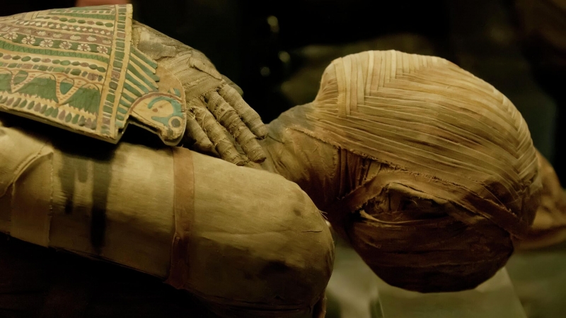 "Алиэкспресс" для фараона. Тайна мумий раскрыта