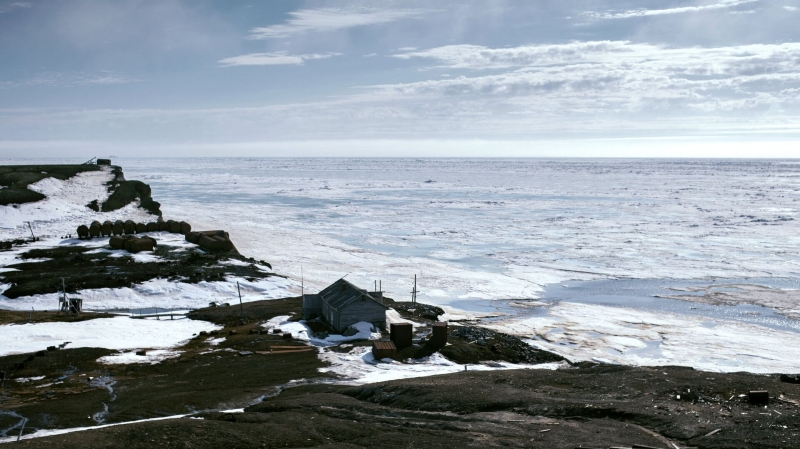 Ученый предположил, когда арктические льды начнут полностью таять летом