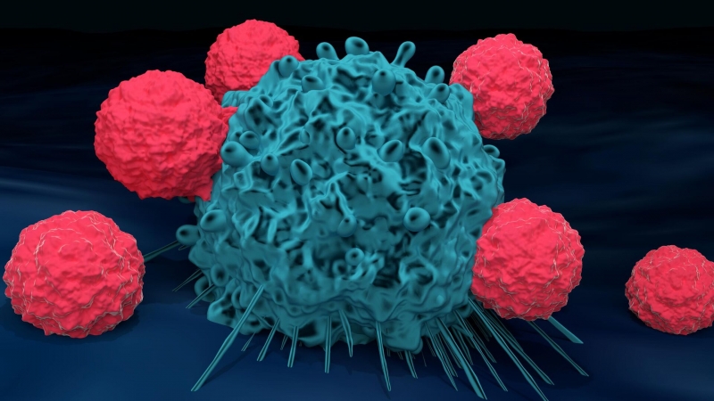Российские ученые узнали, как клетки опухоли могут выжить при химиотерапии
