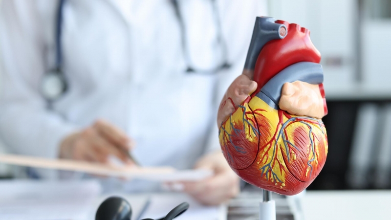 Ученые разработали "кардиопластырь" для мониторинга работы сердца