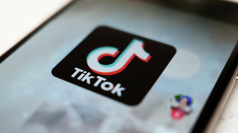 Чешским парламентариям запретили использовать TikTok