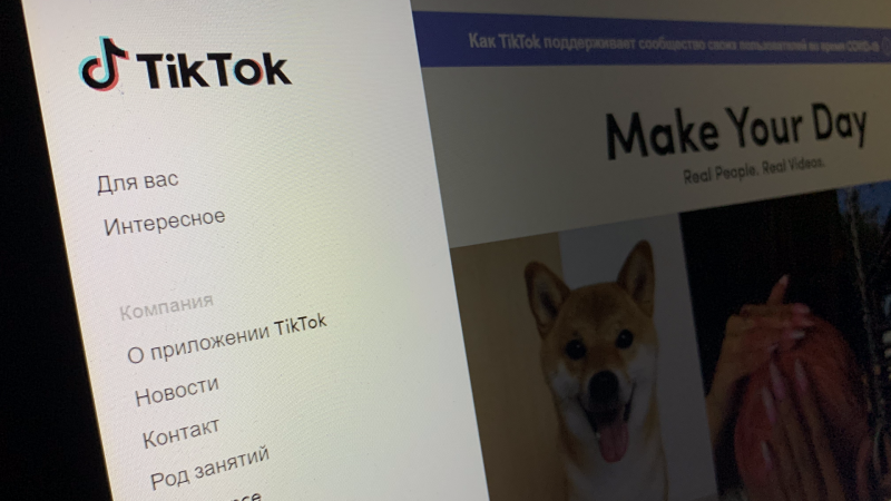 Чешским парламентариям запретили использовать TikTok