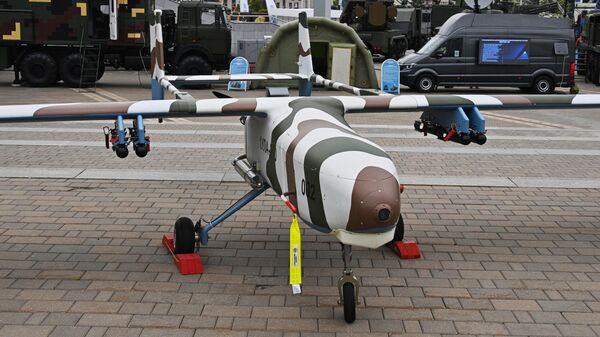 Белорусский дрон-камикадзе может заинтересовать Россию, считает эксперт