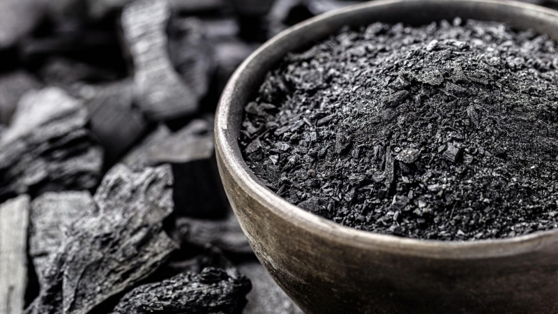 Уголь из скорлупы. В России смогут эффективнее перерабатывать промотходы