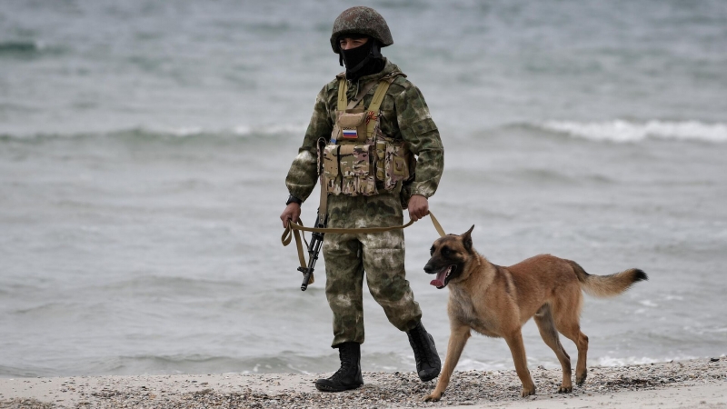 В Донецке создали противоосколочные жилеты для служебных собак в зоне СВО