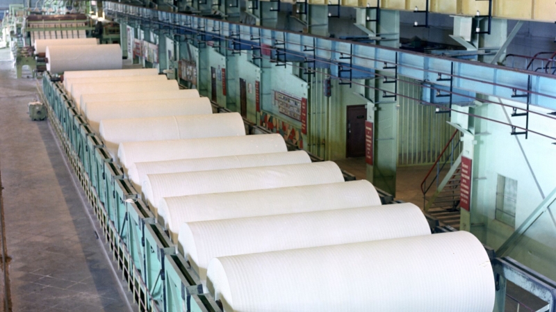 В Вологодской области планируется запустить производство жиростойкой бумаги