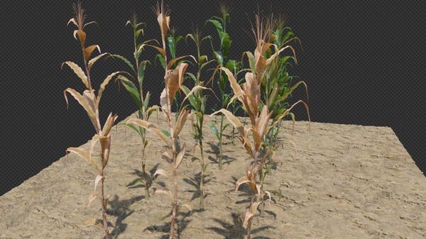 Ученые разработали мобильное приложение для увеличения урожая