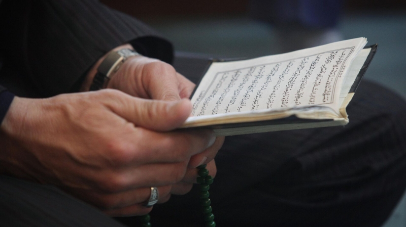 TikTok отключила монетизацию контента для мигранта, сжигавшего Коран