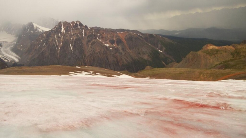 В Республике Алтай порозовел ледник