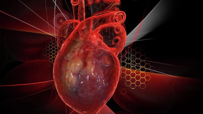 В России нашли способ улучшить диагностику болезней сердца 