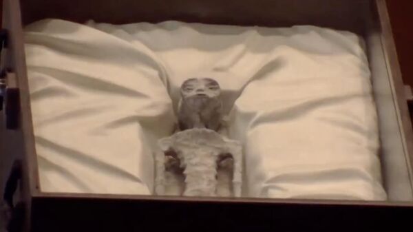 В США после заявлений о "мумиях" гуманоидов попросили передать их образцы