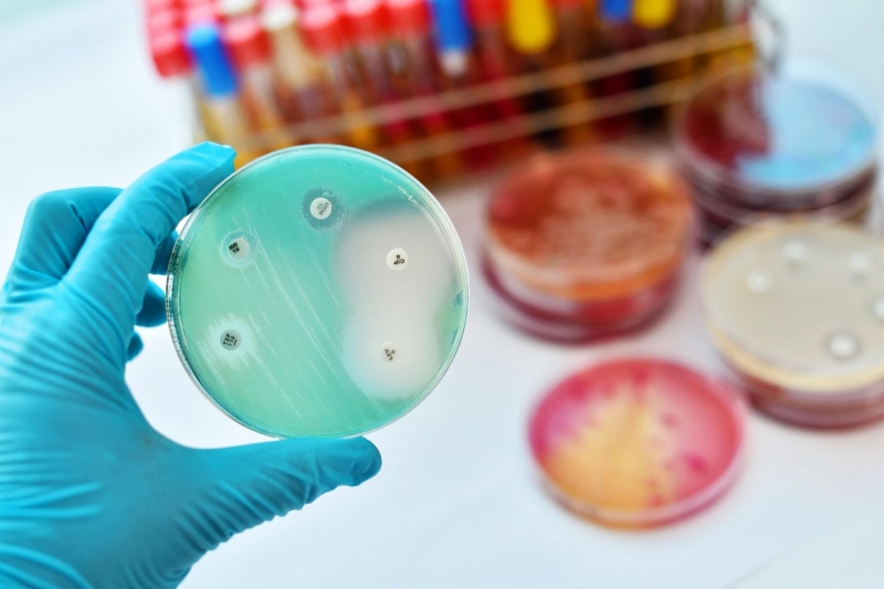 Ученый развенчал миф о тотальной резистентности к антибиотикам