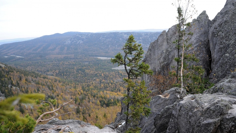 Российские ученые оценили, как меняется растительность в горах