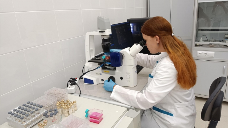 В России разработали универсальные биосовместимые матрицы для медицины