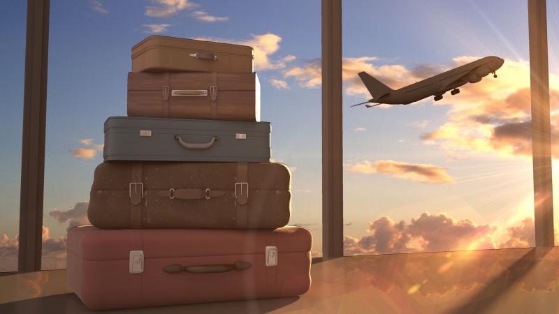 В Испании задержали 14 работников аэропорта Тенерифе за воровство багажа