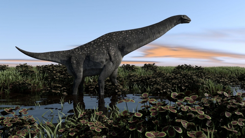В Патагонии палеонтологи обнаружили новый вид травоядного динозавра