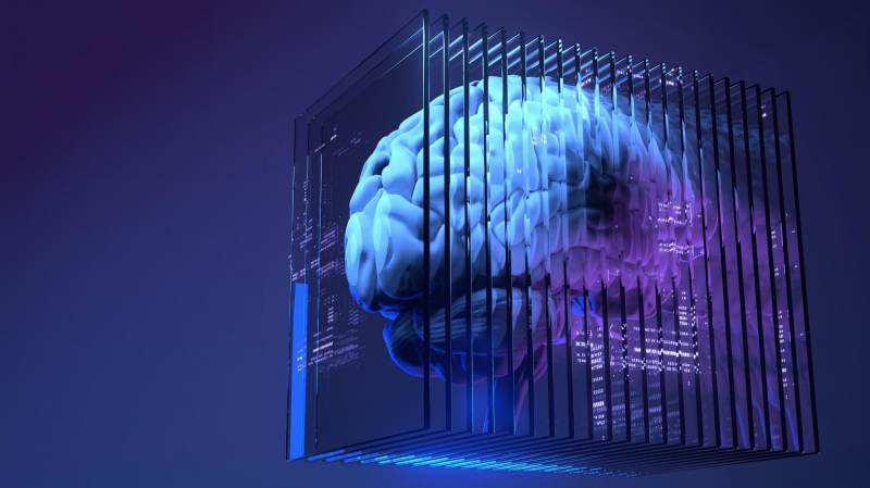 "Живая" машина. Ученые собрали первый процессор из клеток мозга