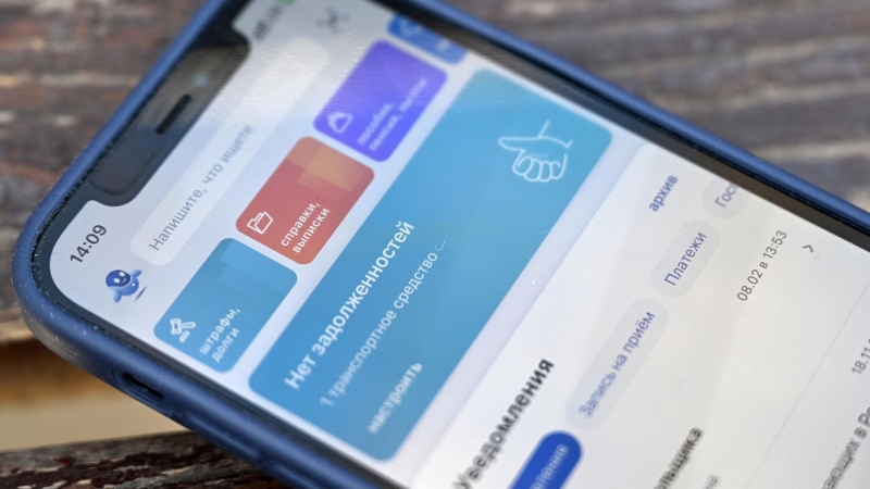 На Госуслугах к концу года станут доступны все справки и социальные льготы