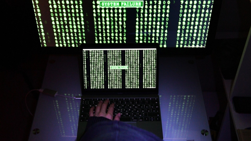 Калининградский сайт викторины для избирателей подвергся DDoS-атаке