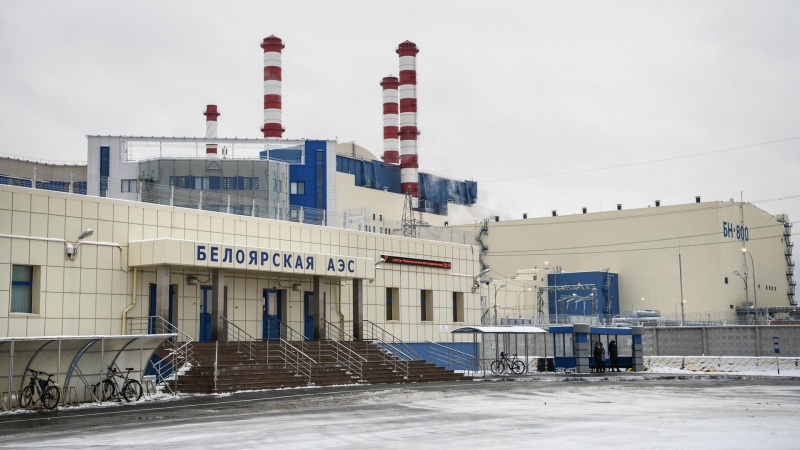 Российские ученые впервые оценили радиационное воздействие АЭС на биосферу