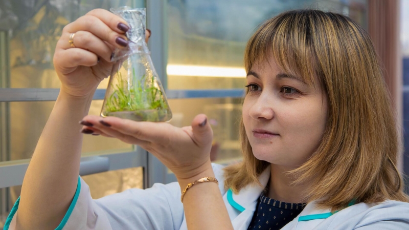 В России создали новую биодобавку из тихоокеанского растения