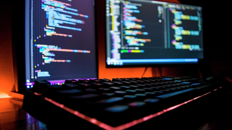 Эксперт оценила возможность легализации "белых" хакеров