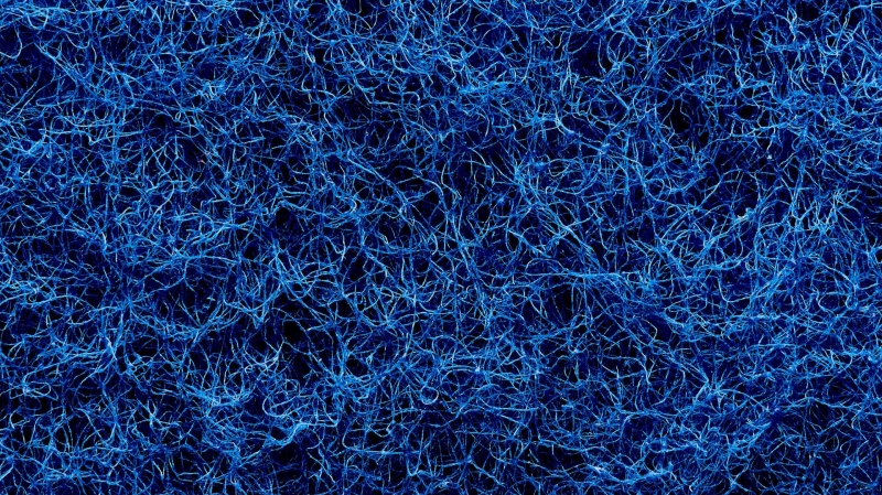 В России предложили создавать необычный шелк