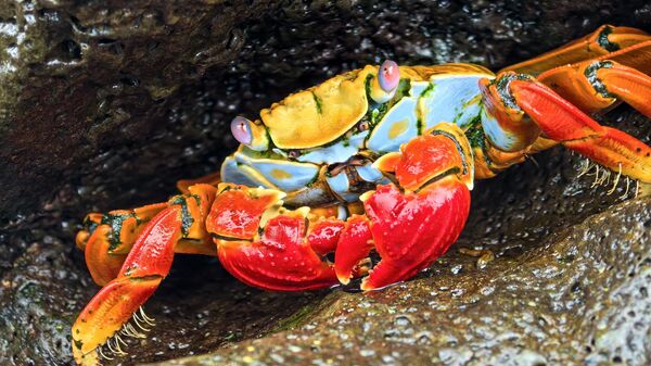 Обзор смартфона HUAWEI Pura 70 Ultra: съемка быстро движущихся предметов