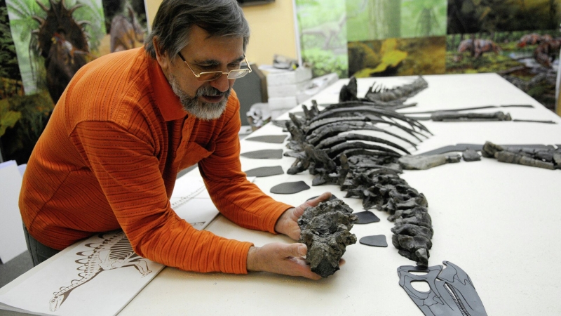 Российские ученые открыли новый вид динозавров на Кузбассе